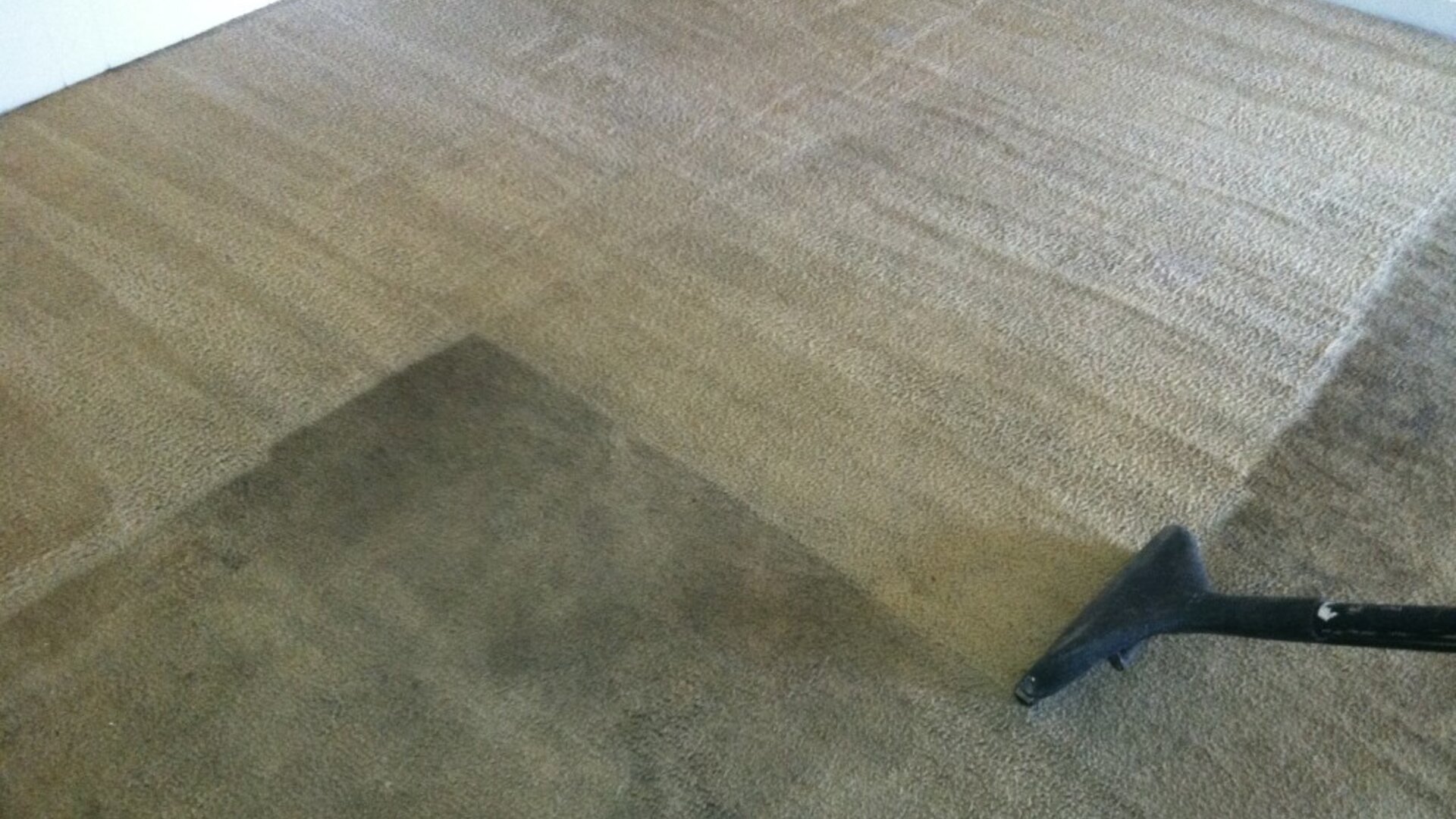 Clean carpet results