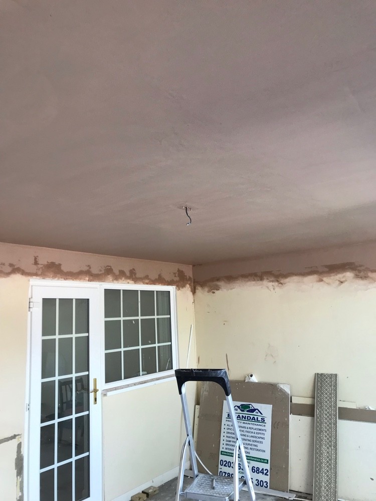 Wall replastered after damp treatment beside French doors